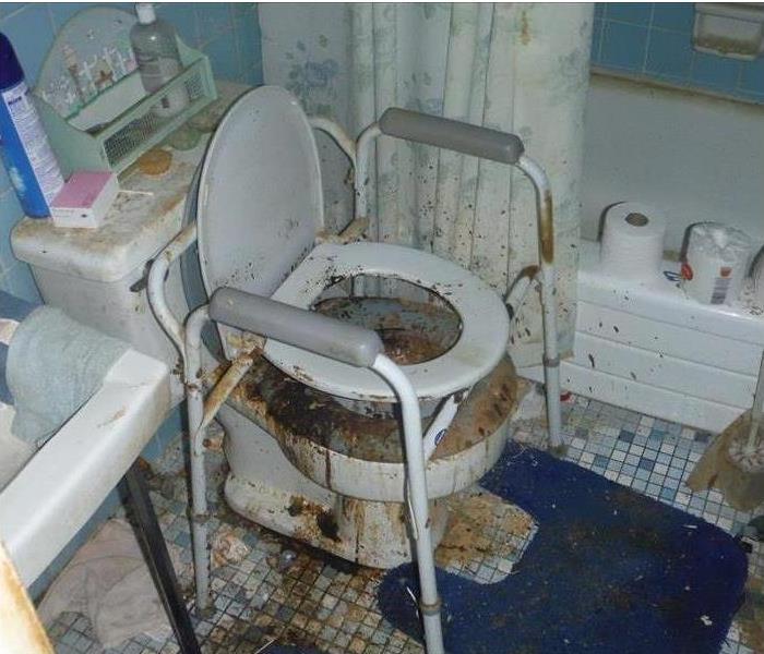 backup mess in a bathroom, handicap commode