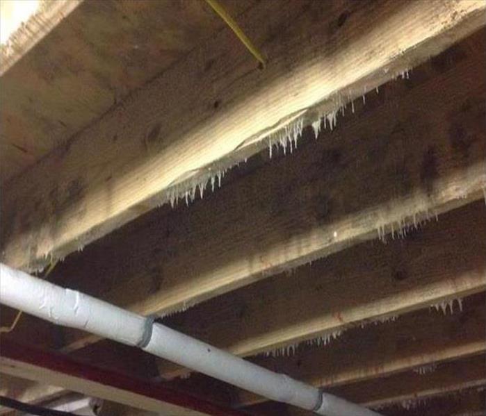 white, stringy mold growing on raw timbers in crawlspace