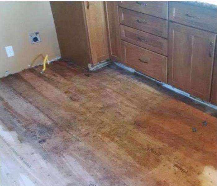 water on wood floor by base cabinets in kitchen