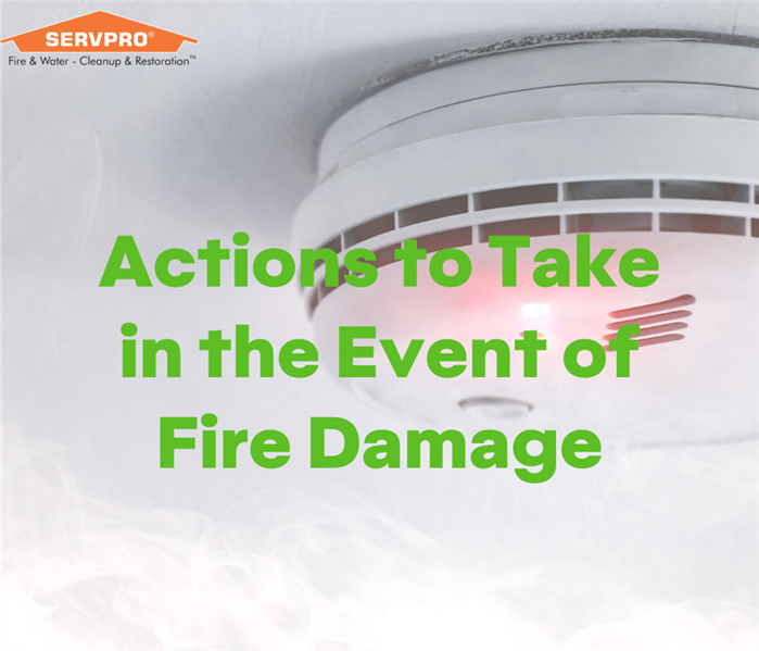 Smoke Detector