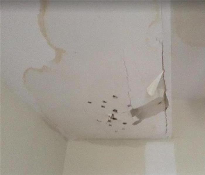 water damaged ceiling; holes in ceiling for water to escape; water stains on ceiling