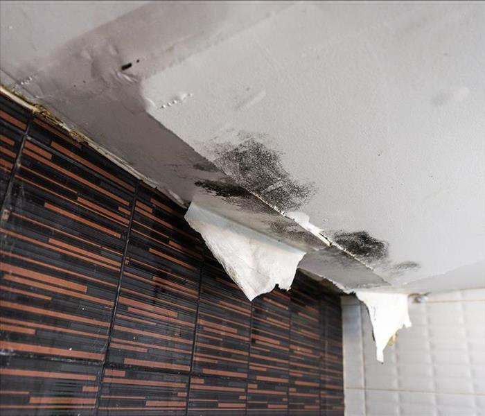Moldy cracked ceiling