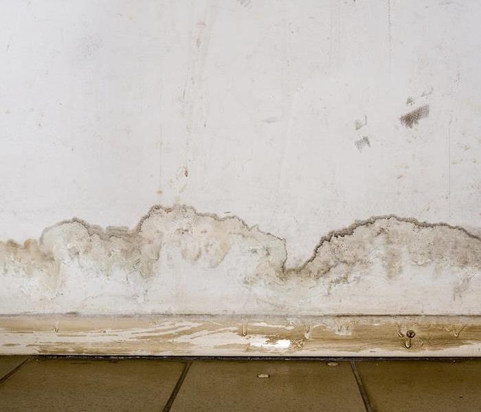 Water damage on a wall.